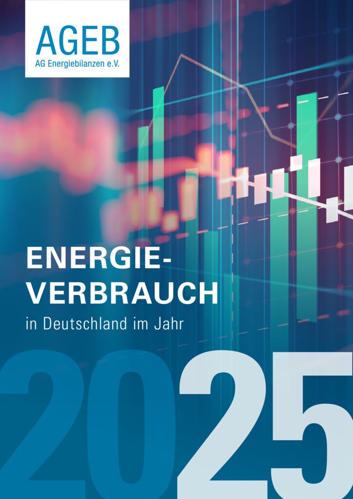 thumbnail of AGEB_Jahresbericht2025_20260709_dt