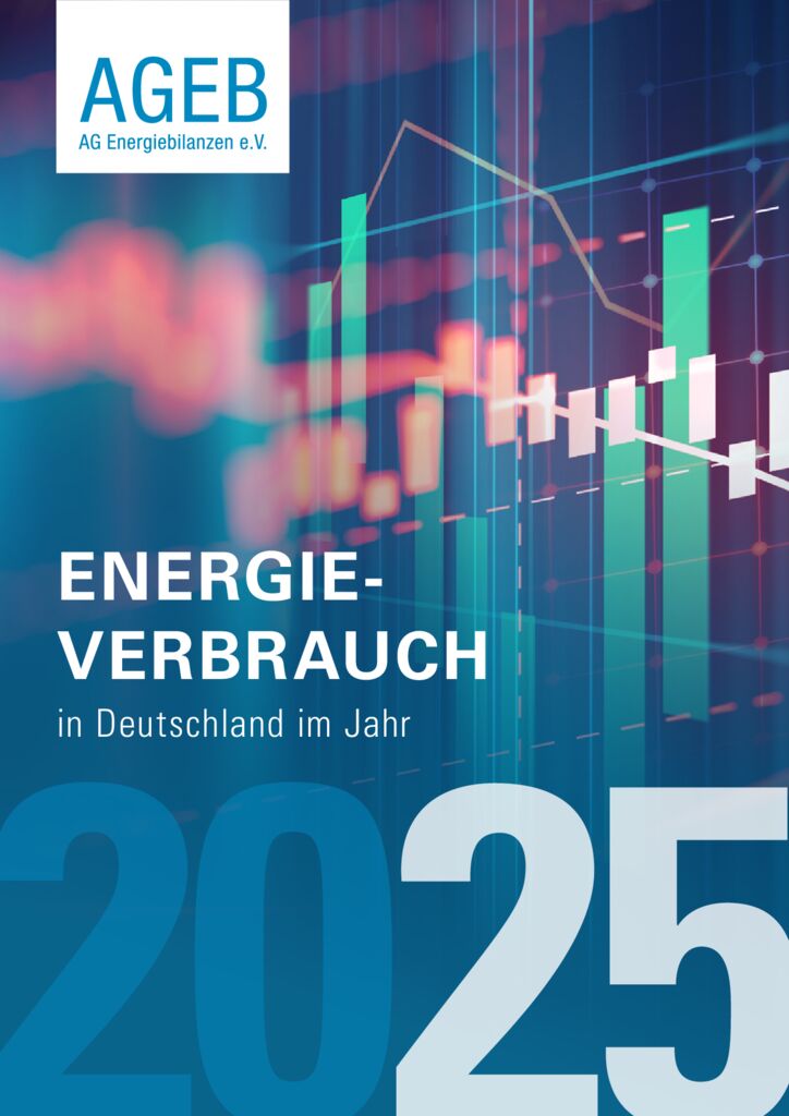 thumbnail of AGEB_Jahresbericht2025_20260828_dt