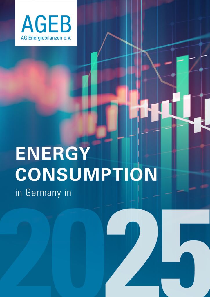 thumbnail of AGEB_Jahresbericht2025_20260909_en