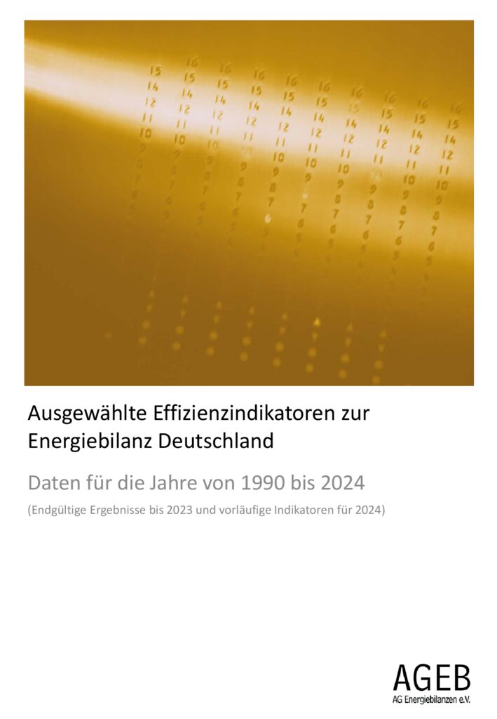 thumbnail of Effizienzindikatoren_2024